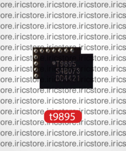 IC Audio T9895