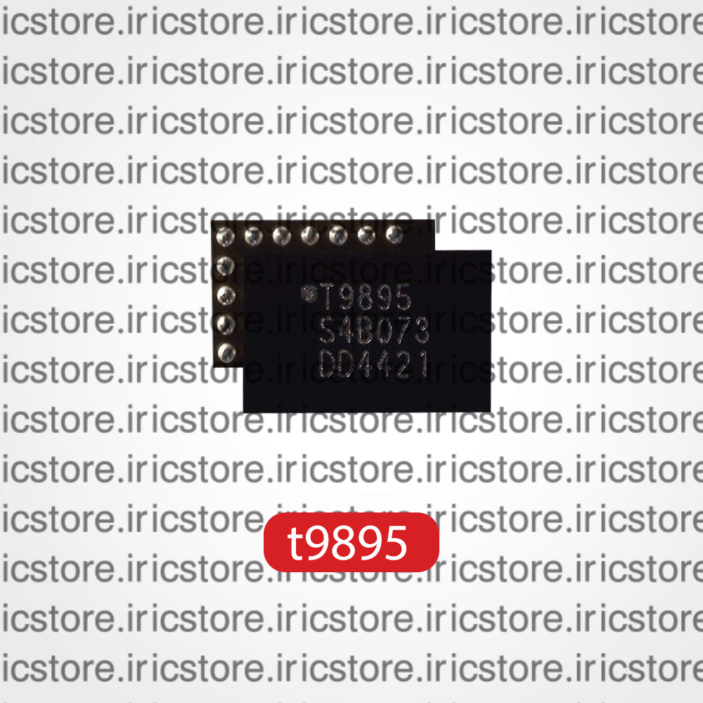 IC Audio T9895 IC Audio T9895